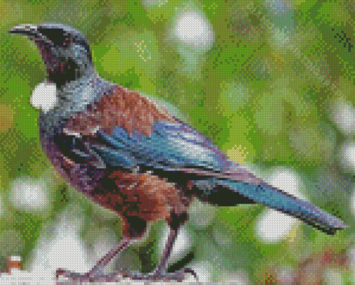 Brown And Blue Tui Bird Diamond Painting