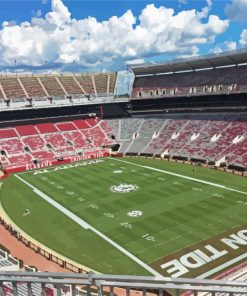 Bryant Denny Stadium Diamond Painting