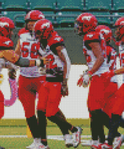 Calgary Stampeders Players Diamond Painting