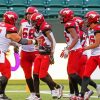 Calgary Stampeders Players Diamond Painting