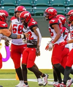 Calgary Stampeders Players Diamond Painting