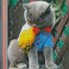 Cat With Yellow Parrot Diamond Painting