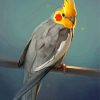 Cockatiel Diamond Painting