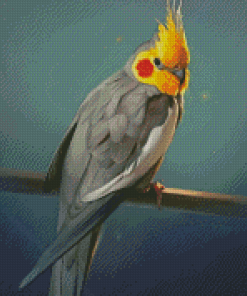 Cockatiel Diamond Painting