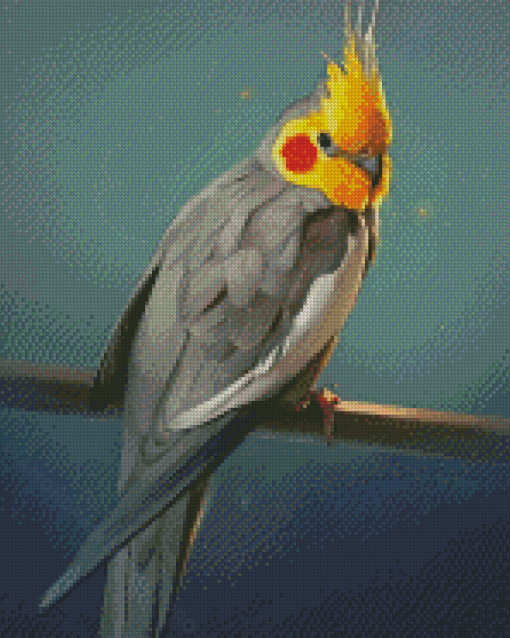 Cockatiel Diamond Painting