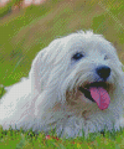 Cotton Tulear Puppy Diamond Painting