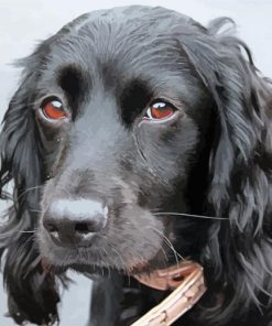 Cute Flat Coated Retriever Head Diamond Painting