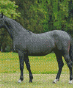 Dark Grey Horse Diamond Painting