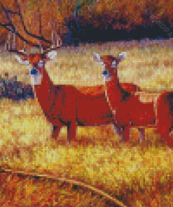 Deer Couple In Field Diamond Painting