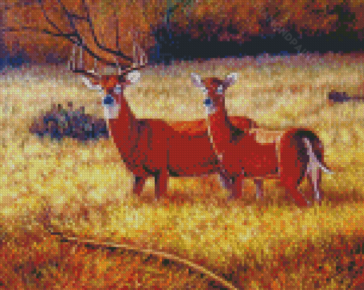 Deer Couple In Field Diamond Painting