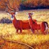 Deer Couple In Field Diamond Painting