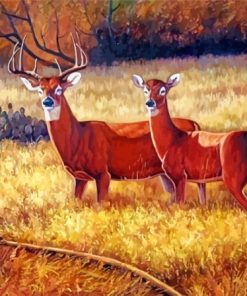 Deer Couple In Field Diamond Painting