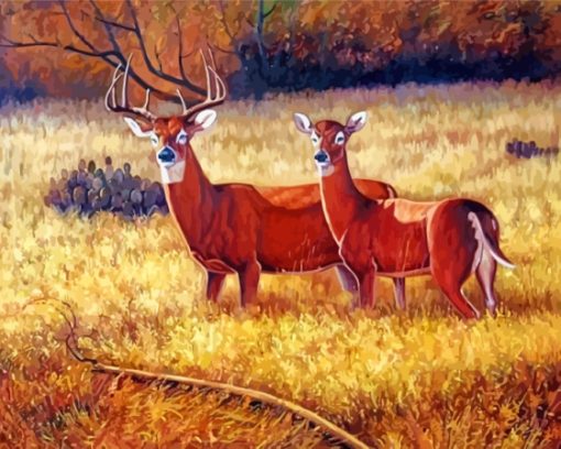 Deer Couple In Field Diamond Painting