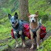 Dogs Hiking Diamond Painting