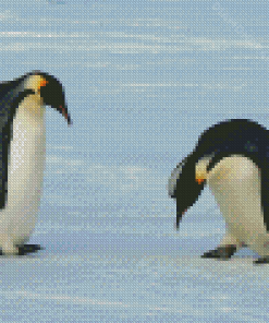 Emperor Penguin Playing Diamond Painting