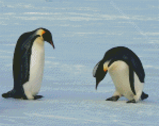 Emperor Penguin Playing Diamond Painting