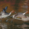 Flying Waterfowls Diamond Painting