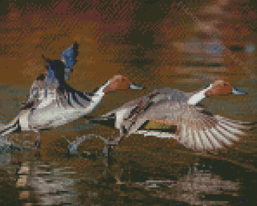 Flying Waterfowls Diamond Painting