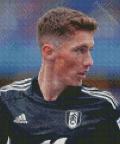 Fulham Harry Wilson Footballer Diamond Painting