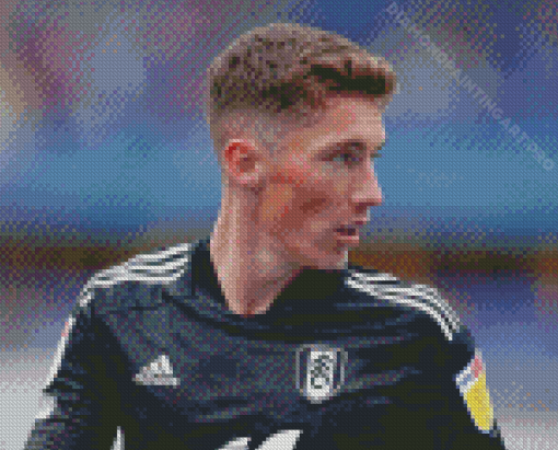 Fulham Harry Wilson Footballer Diamond Painting