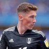 Fulham Harry Wilson Footballer Diamond Painting