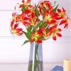 Gloriosa Lily In Glass Vase Diamond Painting