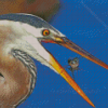 Heron And Fish Animals Diamond Painting