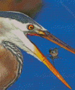 Heron And Fish Animals Diamond Painting