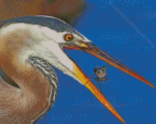 Heron And Fish Animals Diamond Painting