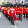 Irish Guards Diamond Painting