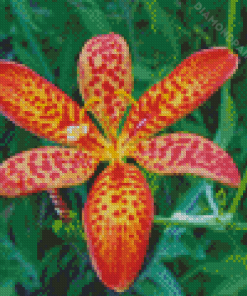 Leopard Flower Diamond Painting