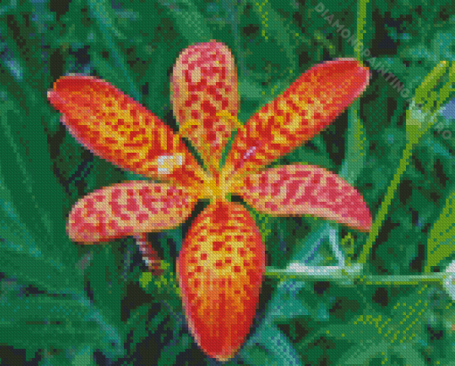 Leopard Flower Diamond Painting