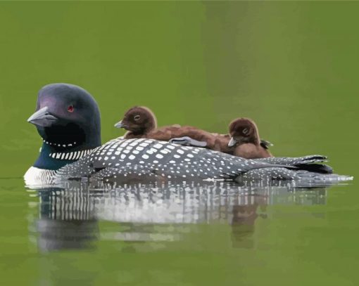 Loon Family On Lake Diamond Painting