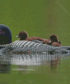 Loon Family On Lake Diamond Painting