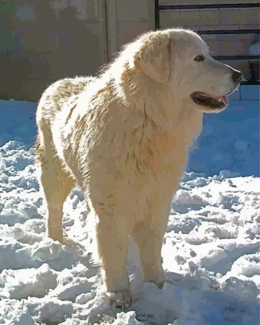 Maremma Sheepdog In Snow Diamond Painting