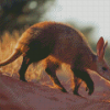 Wild Aardvark Diamond Painting