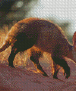 Wild Aardvark Diamond Painting