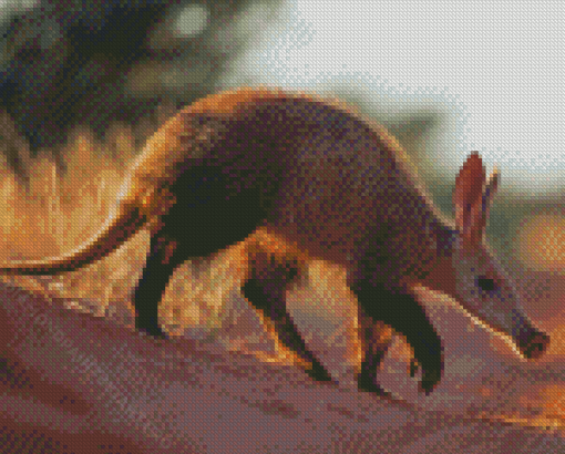 Wild Aardvark Diamond Painting