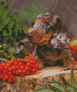 Miniture Dashund Dog Diamond Painting