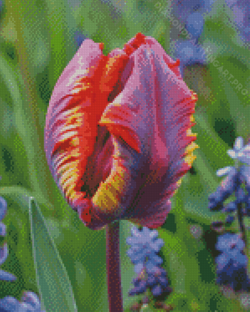 Parrot Tulips Diamond Painting