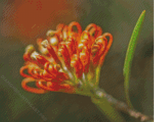 Peachy Grevillea Diamond Painting