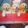 Puppies In Wagon Diamond Painting