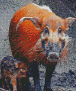 Red River Hog Animals Diamond Painting