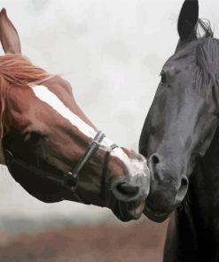 Romantic Two Horses In Love Diamond Painting