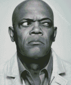 Samuel L Jackson Confused Diamond Painting