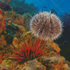 Sea Urchin Underwater Diamond Painting