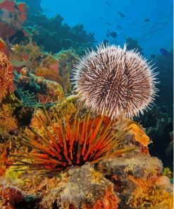 Sea Urchin Underwater Diamond Painting