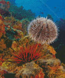 Sea Urchin Underwater Diamond Painting