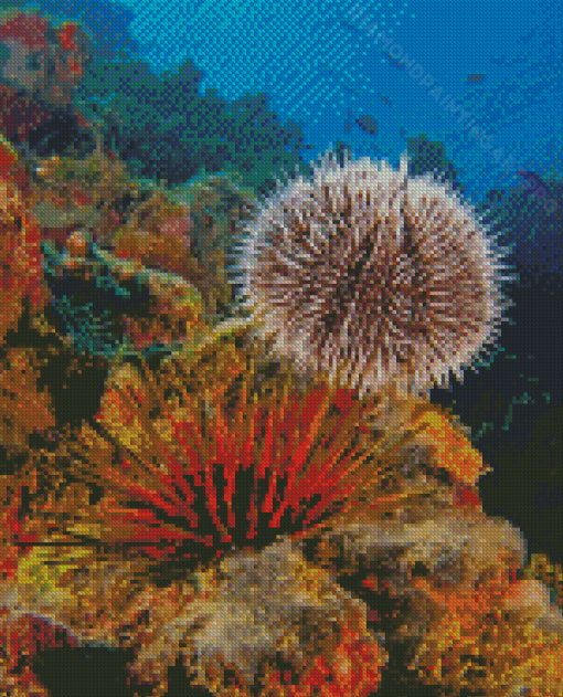 Sea Urchin Underwater Diamond Painting