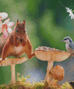 Squirrel And Bird Diamond Painting